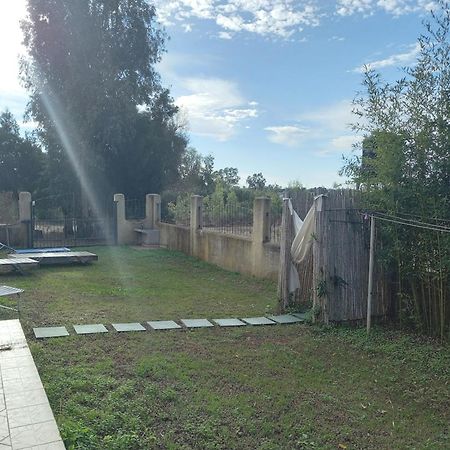 Basecamp Ogliastra - Flat Green Санта Мария Наварезе Екстериор снимка