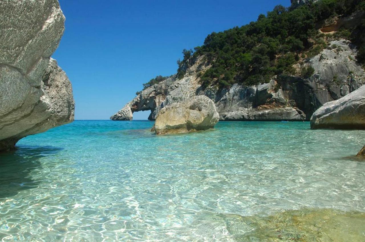 Basecamp Ogliastra - Flat Green Санта Мария Наварезе Екстериор снимка