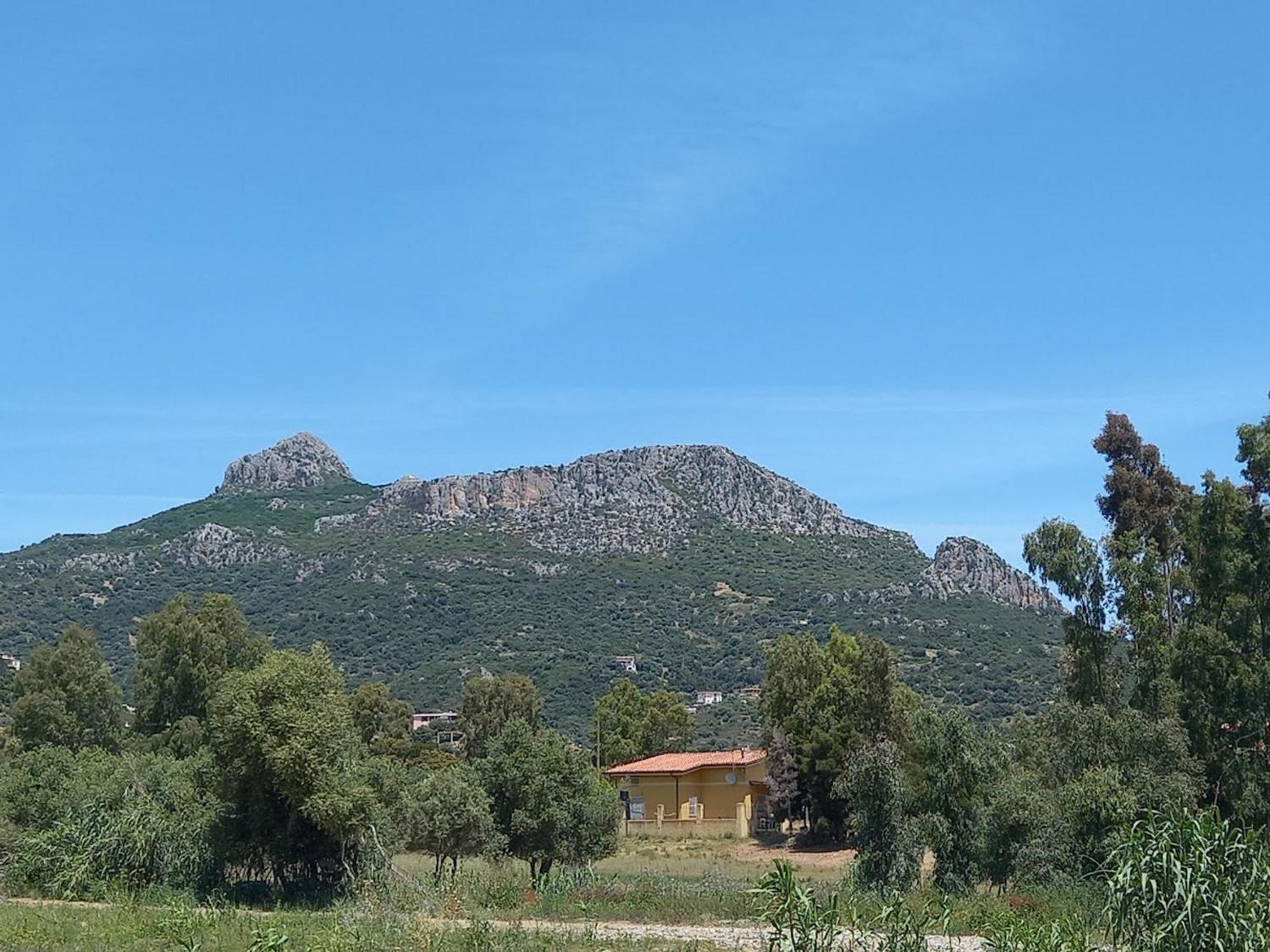 Basecamp Ogliastra - Flat Green Санта Мария Наварезе Екстериор снимка